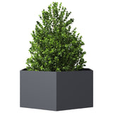Vidaxl Plannet Henhoek 104x90x45 cm Anthracite en acier -colore