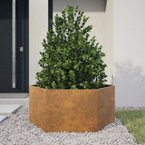 Vidaxl Planter Big Hexhoek 104x90x45 cm povětrnostní ocel