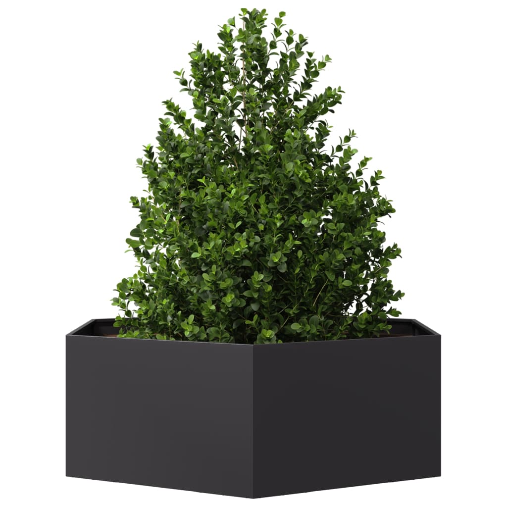 Vidaxl Planter Benket Hexagon 138x120x45 cm ocel černá