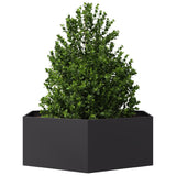 Vidaxl Planter Benket Hexagon 138x120x45 cm ocel černá