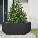 Vidaxl Planter Benket Hexagon 138x120x45 cm ocel černá