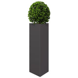 Vidaxl Planter Triangle 30x26x75 cm ocel černá