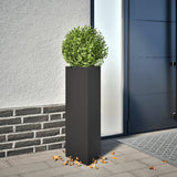Vidaxl Planter Triangle 30x26x75 cm ocel černá