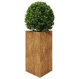 VidaXL Planter triangular 50x43x75 cm Weather steel