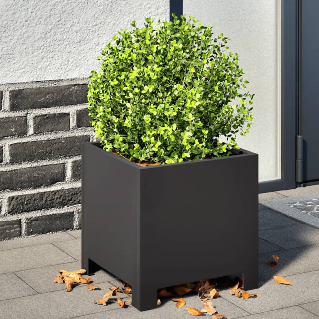 Vidaxl fioriere 2 St 30x30x30 cm in acciaio nero