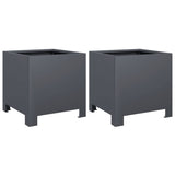 Vidaxl Fioters 2 ST 30x30x30 cm Antracite in acciaio