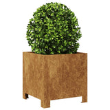 Casella di pianificazione Vidaxl 30x30x30 cm Acciaio meteorologico