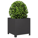 Casella di pianificazione Vidaxl 40x40x40 cm in acciaio nero
