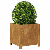 VidaXL Planning box 40x40x40 cm Weather steel