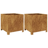 Vidaxl fioriere 2 ST 40x40x40 cm Acciaio meteo
