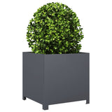 VIDAXL PIANIFICAZIONE CASSIONE 50X50X50 CM ANTRACITO ANTRACIO