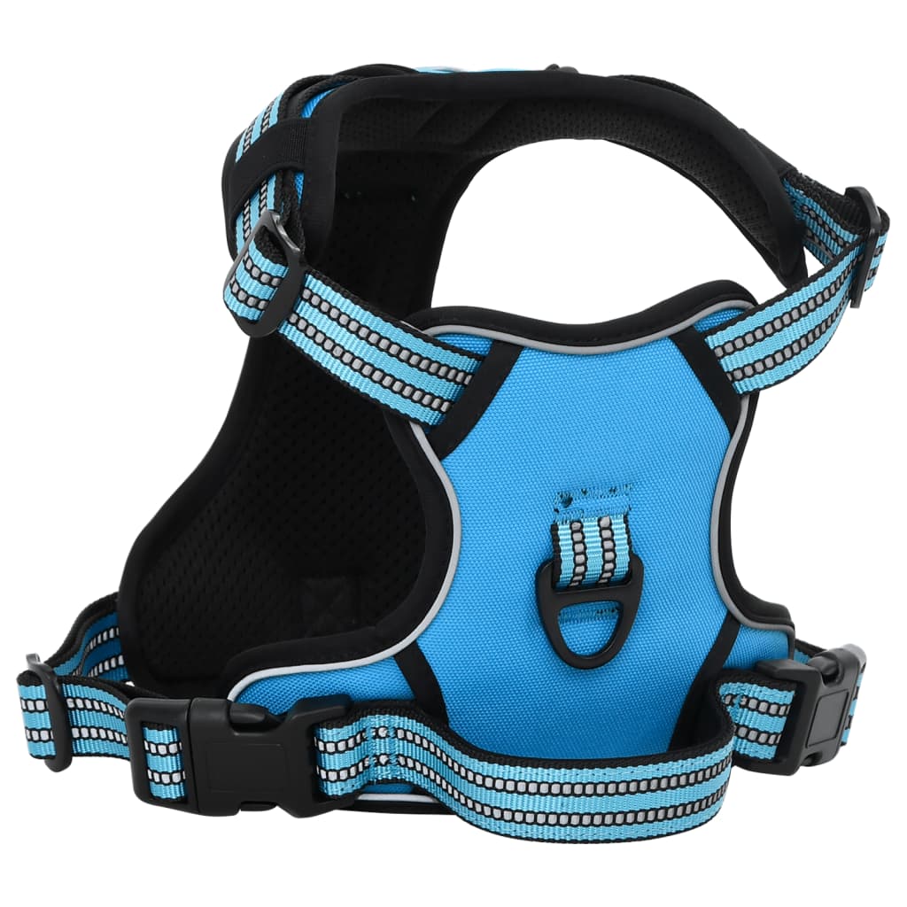 Vidaxl Dog Rig avec ceinture et collier réglable xl bleu
