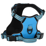 Vidaxl Dog Rig avec ceinture et collier réglable xl bleu
