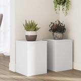 Vidaxl Standard pianta 2 ST 25x25x35 cm Bianco in legno elaborato