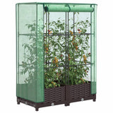 Vidaxl Planter zvednutý s kashoes 80x40x123 cm Rattanlook