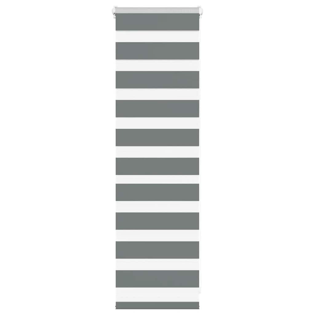 Vidaxl Zebra roller blind 40x100 cm dust width 35.9 cm dark gray