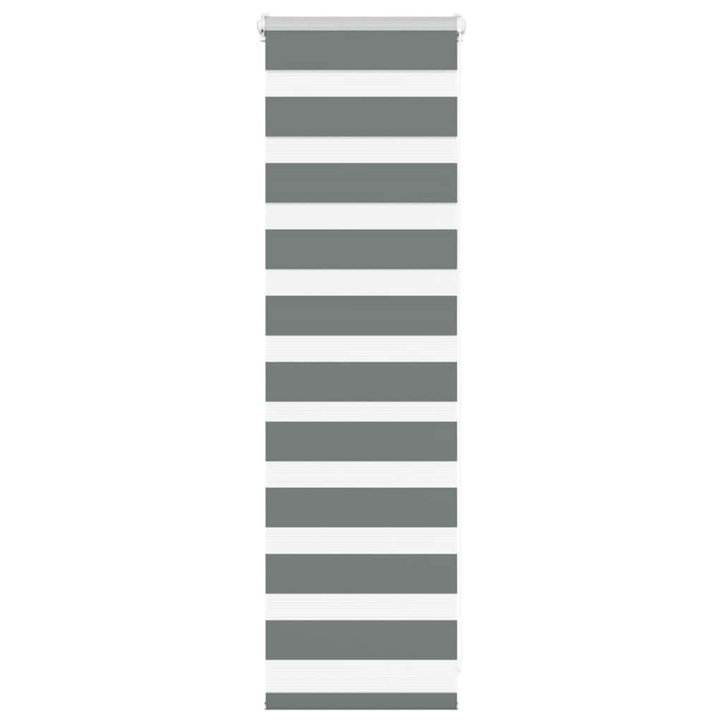 Vidaxl Zebra roller blind 45x100 cm dust width 40.9 cm dark gray