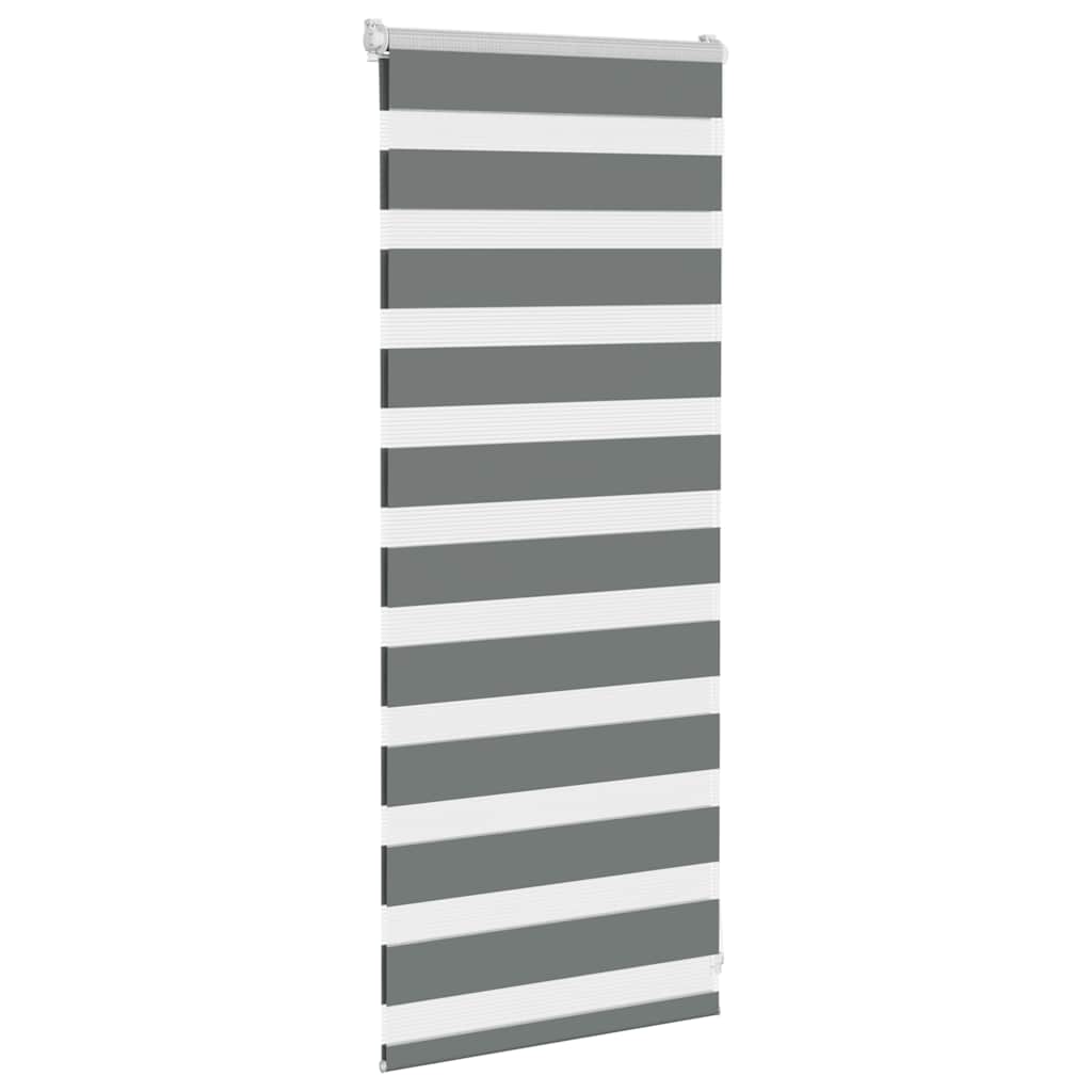 Vidaxl zebra válcový slepý 55x100 cm Šířka prachu 50,9 cm tmavě šedá