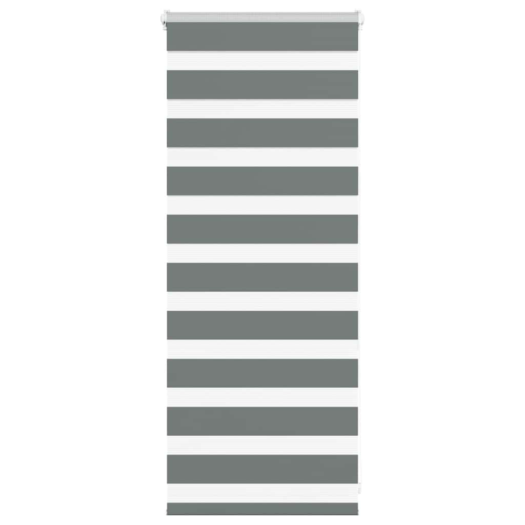 Vidaxl Zebra roller blind 60x100 cm dust width dark gray 55.9 cm