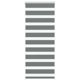 Vidaxl Zebra roller blind 60x100 cm dust width dark gray 55.9 cm