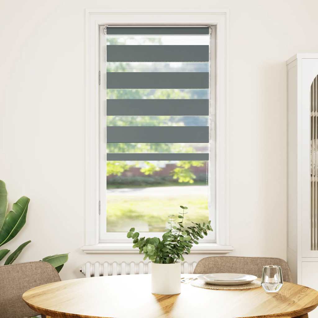 Vidaxl Zebra roller blind 65x100 cm Fabric width 60.9 cm dark gray