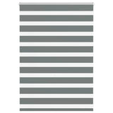 Vidaxl Zebra roller blind 95x100 cm Fabric width 90.9 cm dark gray