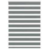 Vidaxl Zebra roller blind 100x100 cm dust width 95.9 cm dark gray