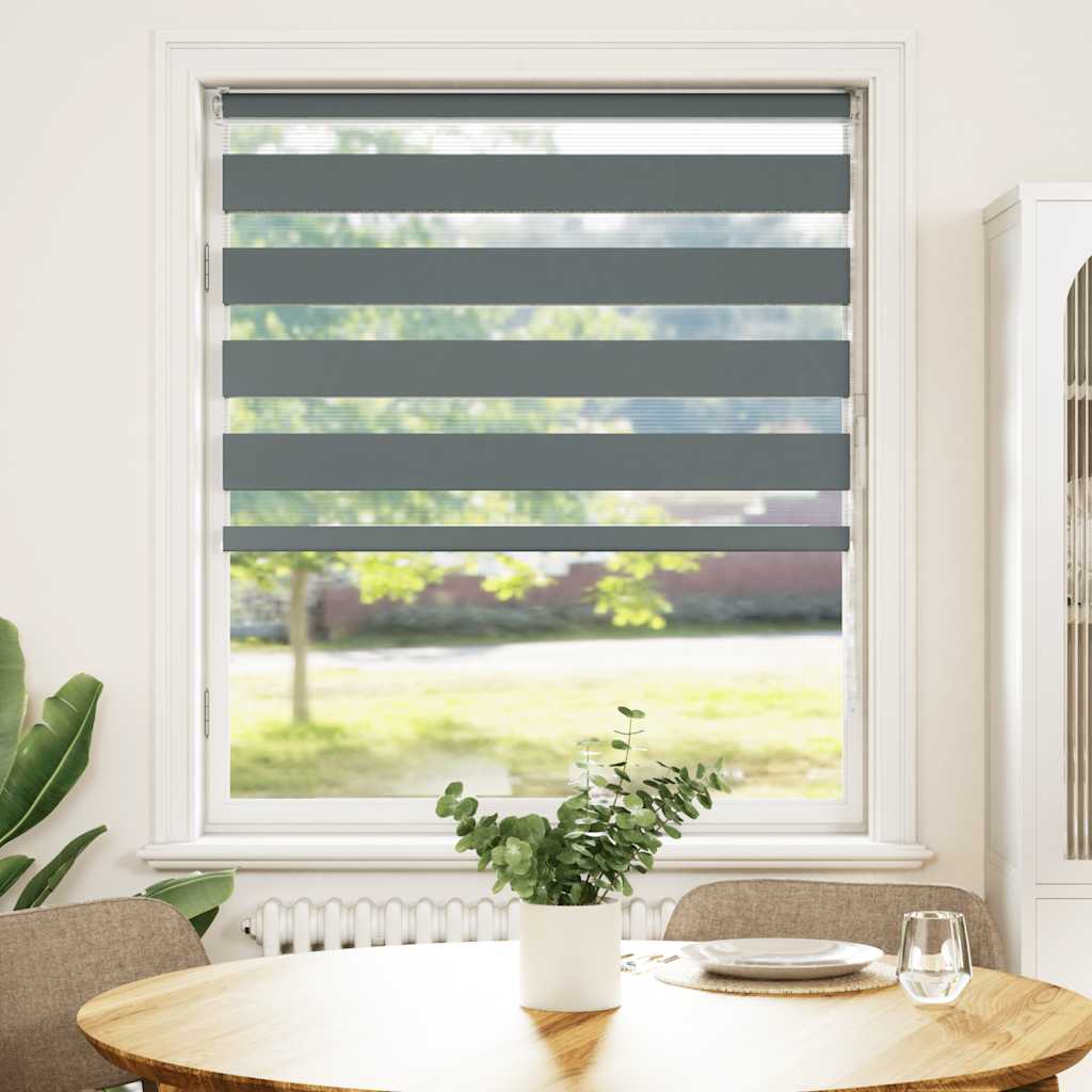 Vidaxl Zebra roller blind 100x100 cm dust width 95.9 cm dark gray