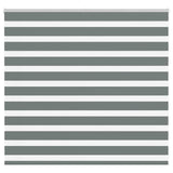 Vidaxl Zebra roller blind 165x100 cm Fabric width 160.9 cm dark gray