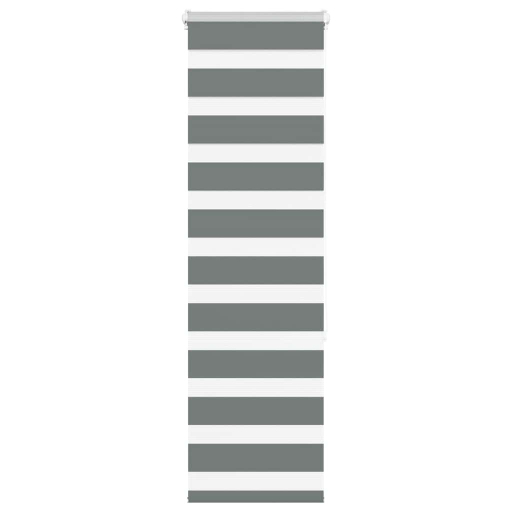 Vidaxl Zebra roller blind 40x150 cm dust width 35.9 cm dark gray