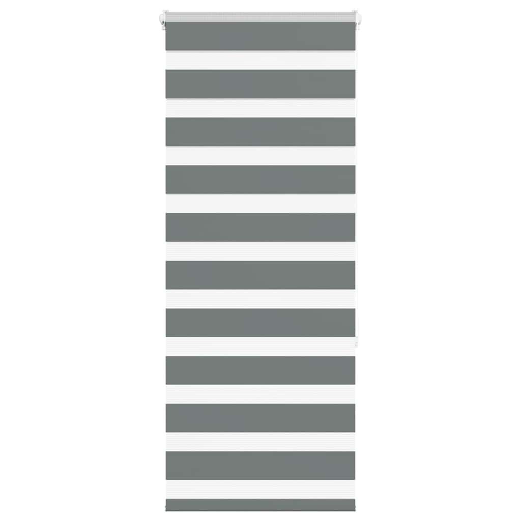 Vidaxl Zebra roller blind 55x150 cm dust width 50.9 cm dark gray