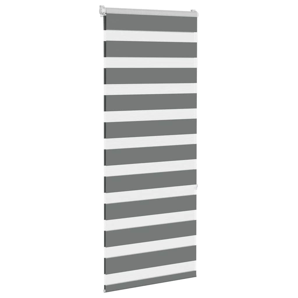 Vidaxl Zebra roller blind 55x150 cm dust width 50.9 cm dark gray