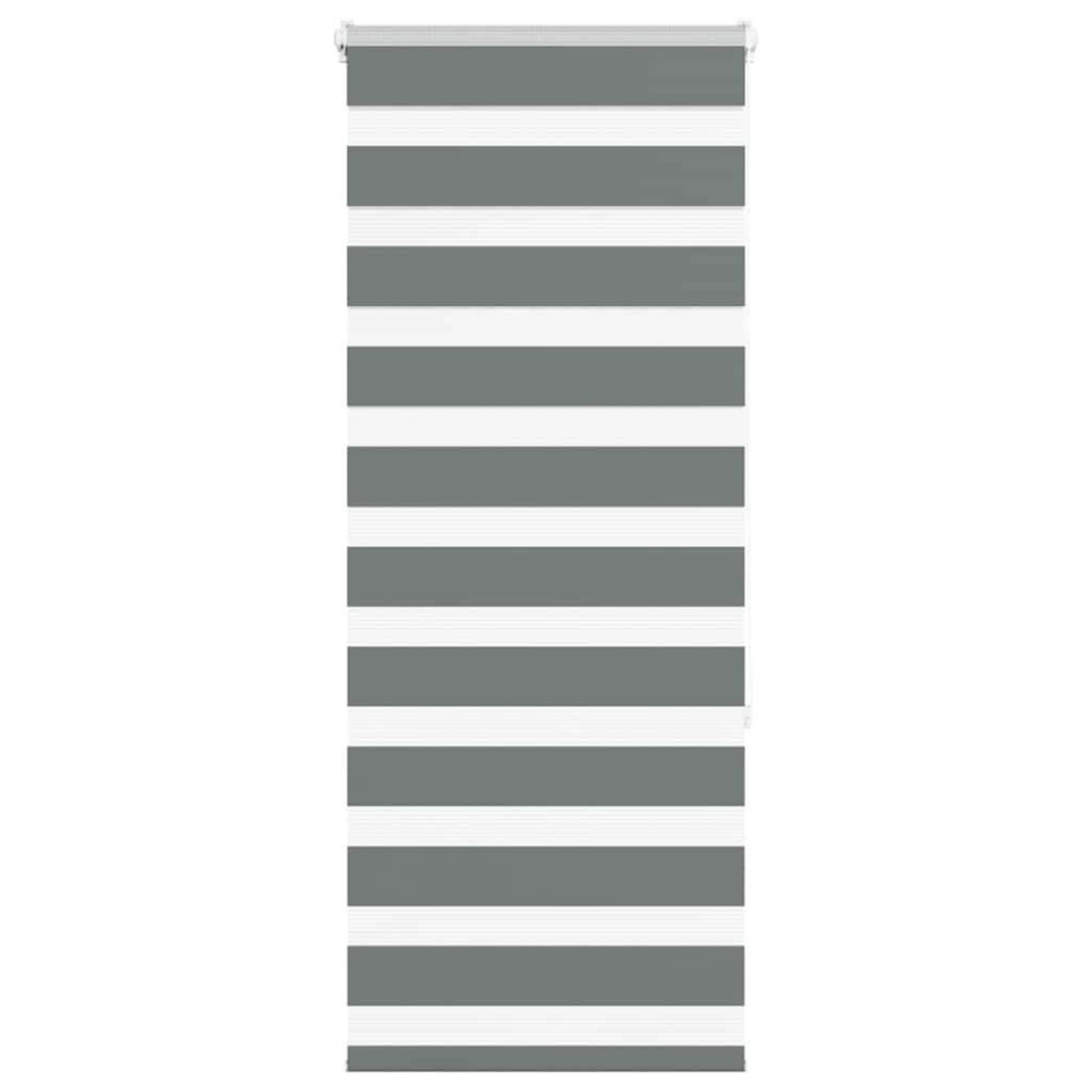 Vidaxl Zebra roller blind 65x150 cm Fabric width 60.9 cm dark gray