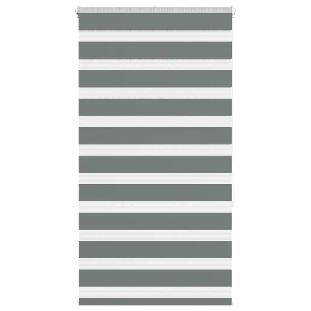 Vidaxl Zebra Roller Slepi 70x150 cm Širina prahu 65,9 cm temno siva