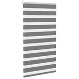 Vidaxl Zebra roller blind 75x150 cm Fabric width 70.9 cm dark gray