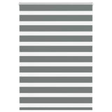 Vidaxl Zebra roller blind 100x150 cm dust width 95.9 cm dark gray