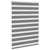 Vidaxl Zebra roller blind 100x150 cm dust width 95.9 cm dark gray