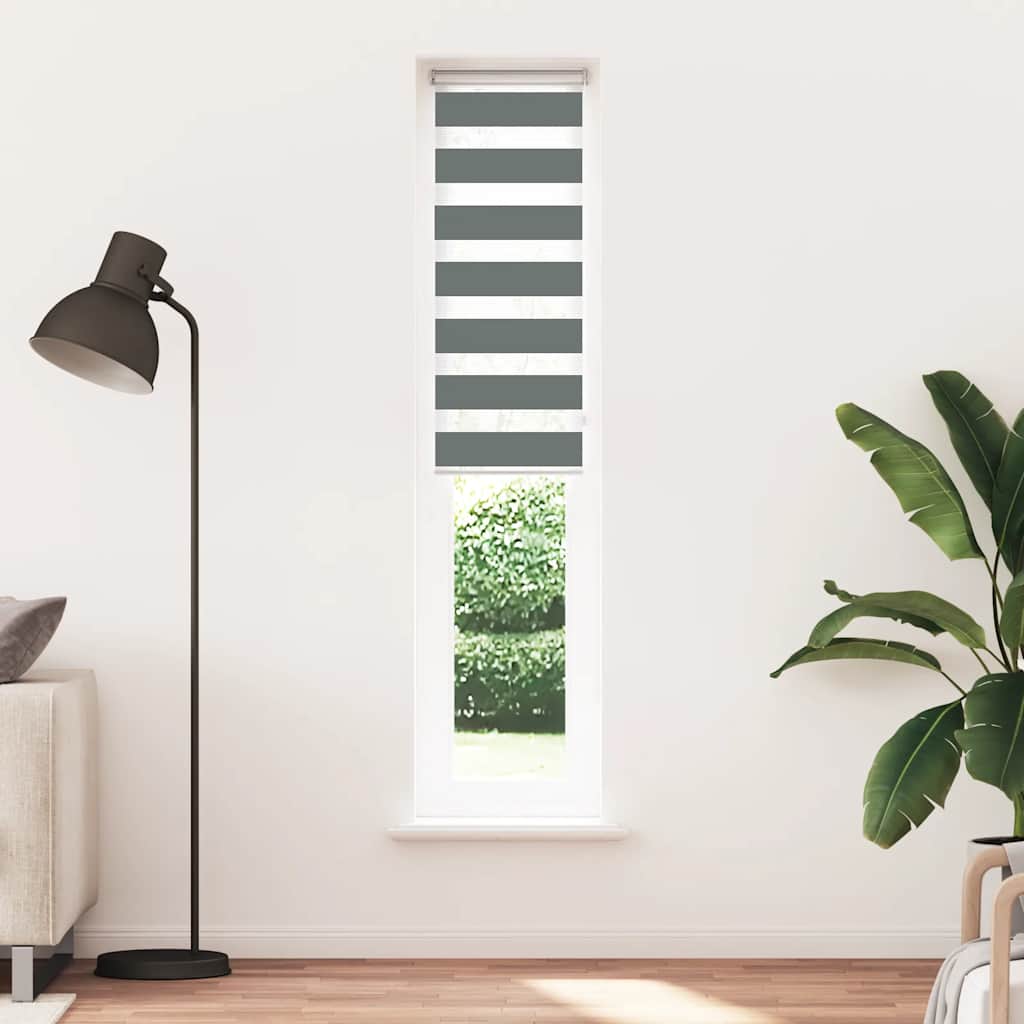 Vidaxl Zebra roller blind 50x200 cm dust width 45.9 cm dark gray