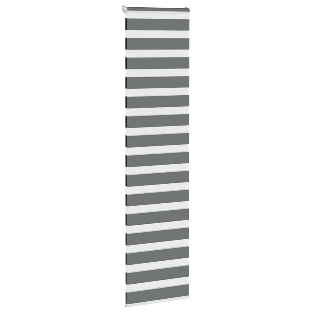 Vidaxl Zebra Roller Slepi 65x200 cm Širina tkanine 60,9 cm temno siva