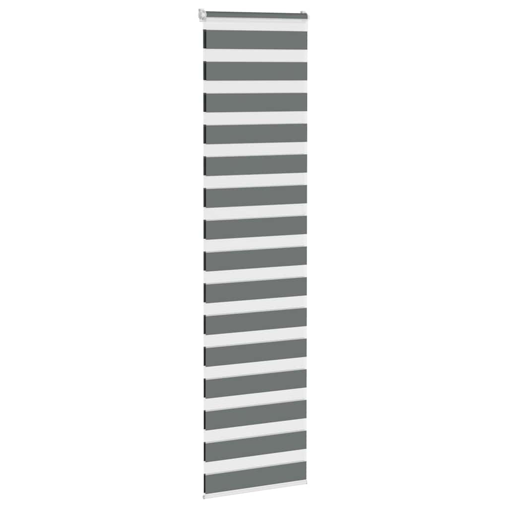 Vidaxl Zebra roller blind 70x200 cm dust width 65.9 cm dark gray