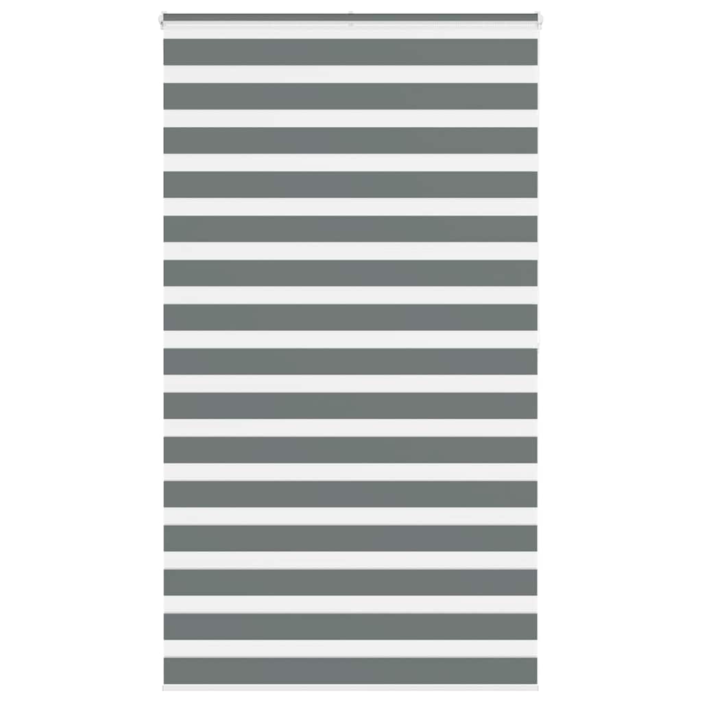 Vidaxl zebra válcový slepý 125x200 cm šířka tmavé šířky 120,9 cm tmavě šedá