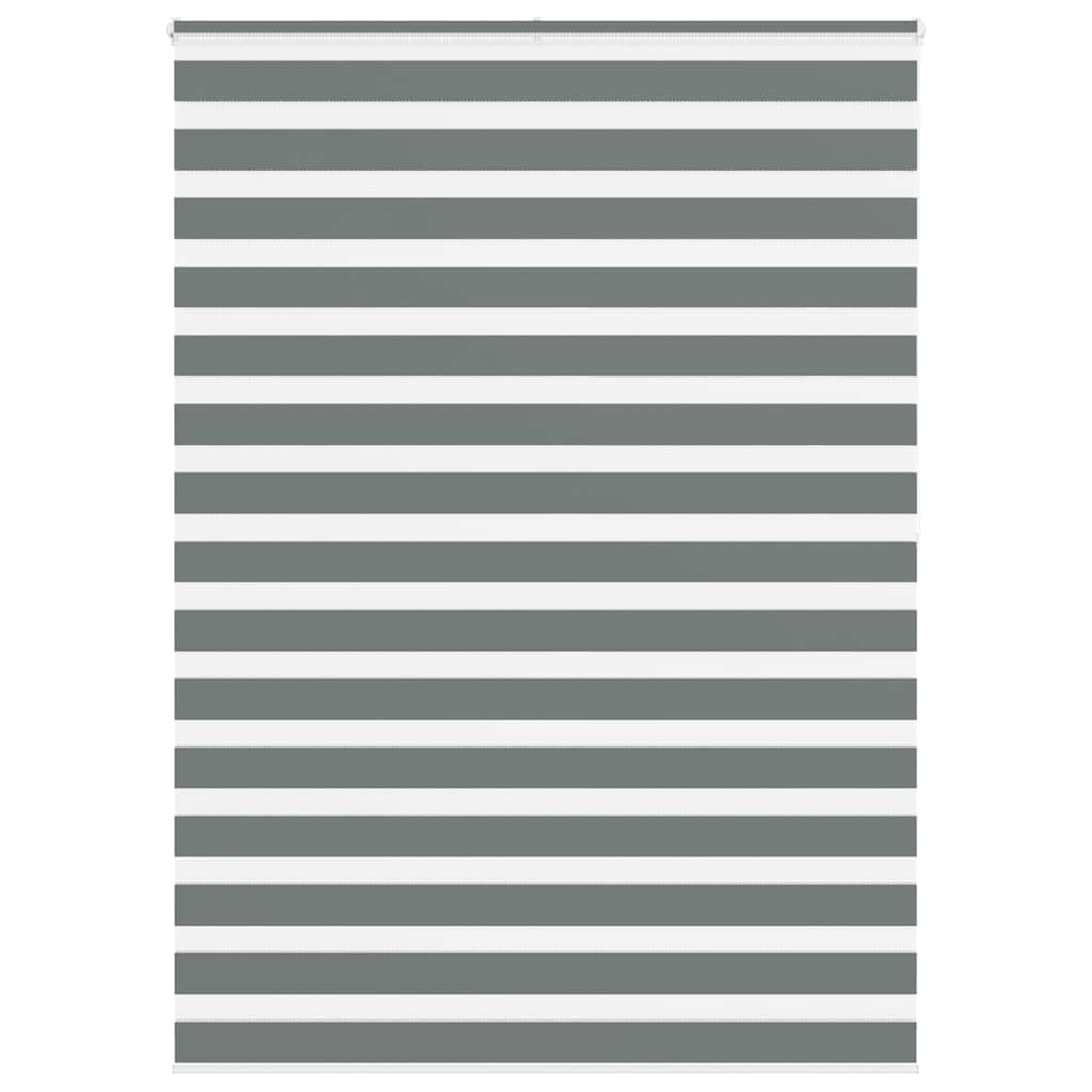 Vidaxl Zebra roller blind 165x200 cm Fabric width 160.9 cm dark gray