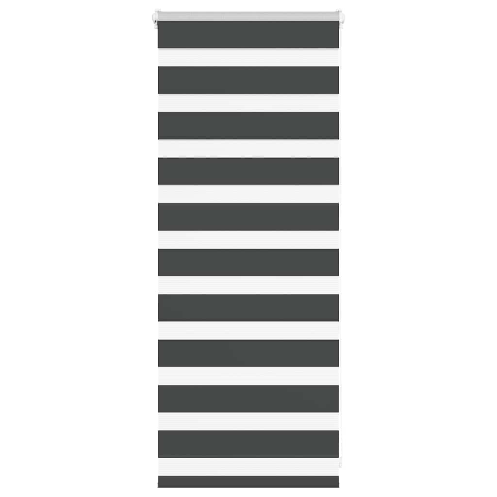 Vidaxl Zebra roller blind 60x100 cm dust width black 55.9 cm