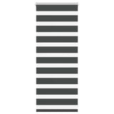 Vidaxl Zebra roller blind 60x100 cm dust width black 55.9 cm