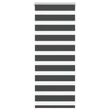 Vidaxl Zebra roller blind 65x100 cm Fabric width 60.9 cm Black