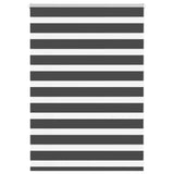 Vidaxl Zebra roller blind 100x100 cm dust width 95.9 cm black