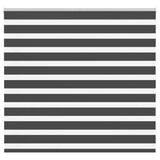 Vidaxl Zebra roller blind 155x100 cm Fabric width 150.9 cm Black
