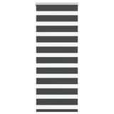 Vidaxl Zebra Roller Blind 55x150 cm Šířka prachu 50,9 cm černá