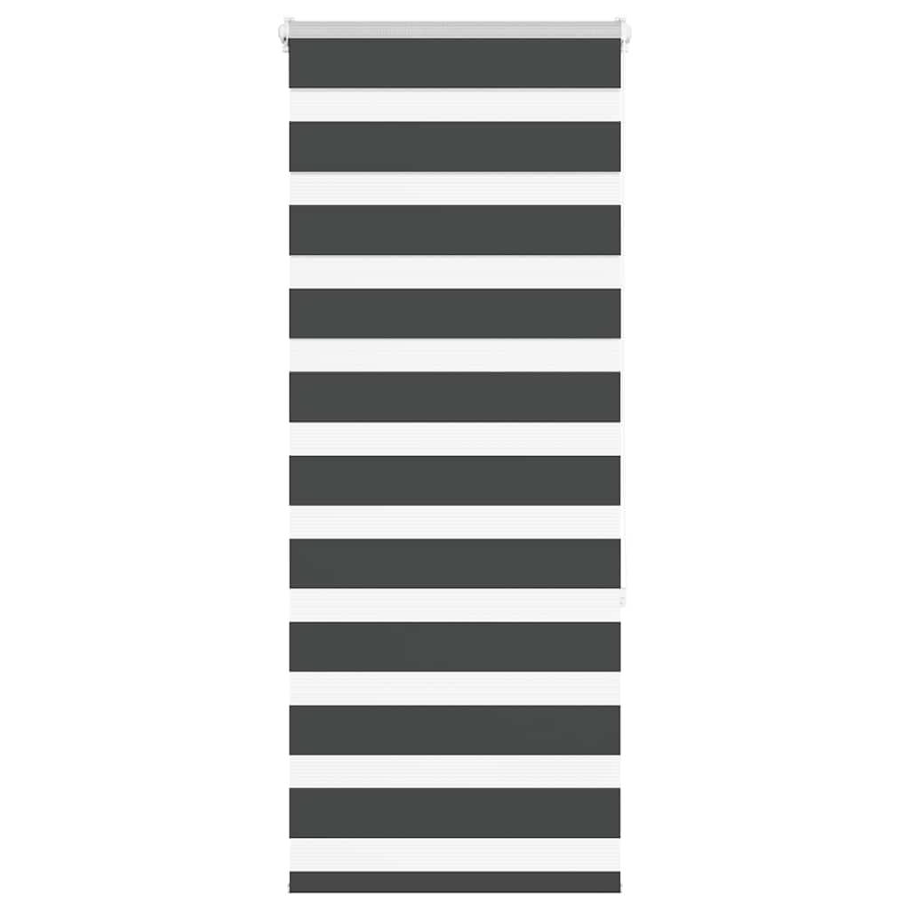 Vidaxl Zebra roller blind 65x150 cm dust width 60.9 cm black