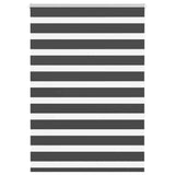 Vidaxl Zebra roller blind 100x150 cm dust width 95.9 cm black
